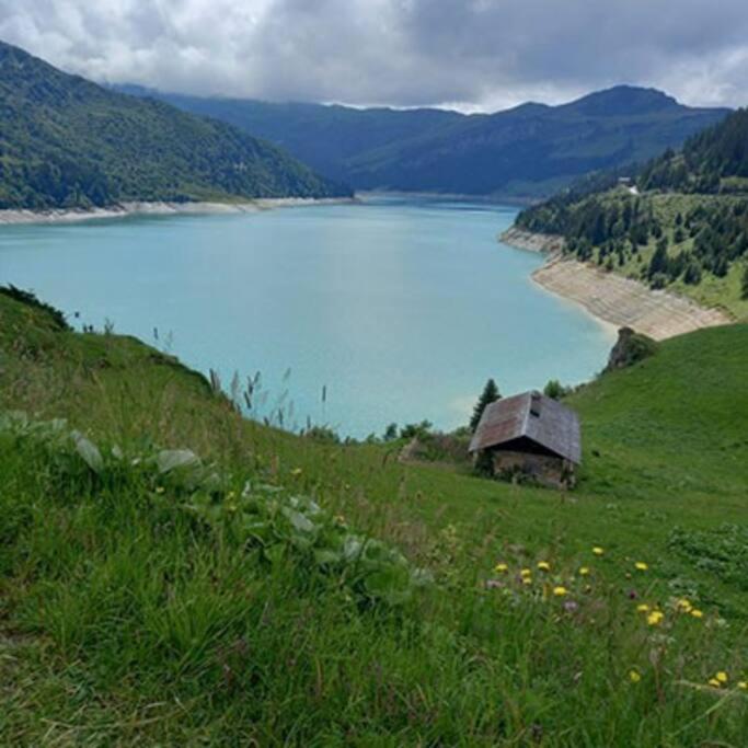 L'Appartement Les Bossons En Lisiere De Foret Dans Le Chalet Genepi Arèches Extérieur photo