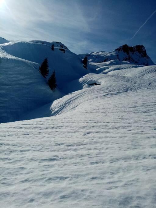 L'Appartement Les Bossons En Lisiere De Foret Dans Le Chalet Genepi Arèches Extérieur photo