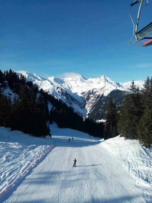 L'Appartement Les Bossons En Lisiere De Foret Dans Le Chalet Genepi Arèches Extérieur photo